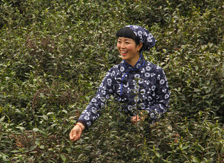 梦连直播高清 热门推荐